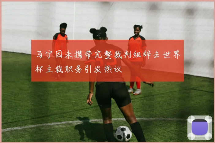 马宁因未携带完整裁判组辞去世界杯主裁职务引发热议