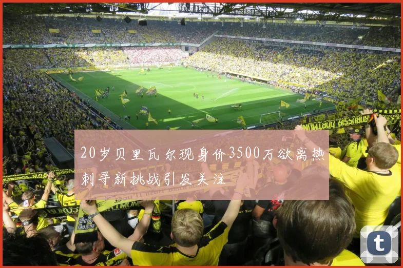 20岁贝里瓦尔现身价3500万欲离热刺寻新挑战引发关注
