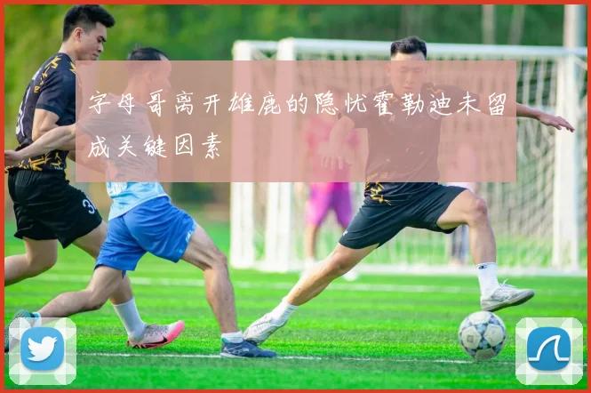 字母哥离开雄鹿的隐忧霍勒迪未留成关键因素
